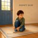 Ronan's Bear