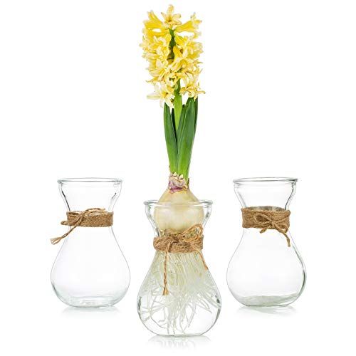Glasseam Helder Glas Vazen voor Bloemen met Touw, 3 Stks Bulb Hyacint Vazen Bud Avocado Vaas Zoete Erwten Vaas voor Hydrocultuur Plant Narcis Orchideeën voor Desktop Tafel Indoor Windowsill Decor