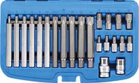 BGS 5013 | bitset | aandrijving zeskant 10 mm (3/8") | wigprofiel (voor ribe) | 22-delig