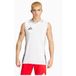 Adidas Mizuno Sleeveless Shirt adidas Tiro 24 Competition Training - White