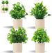 Unyqoos® Set de quatre fausses plantes réalistes et sans entretien pour chaque pièce