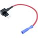 TRU COMPONENTS Plattezekeringsadapter Platte zekering micro Aantal polen LP 15 A 1 stuk(s)