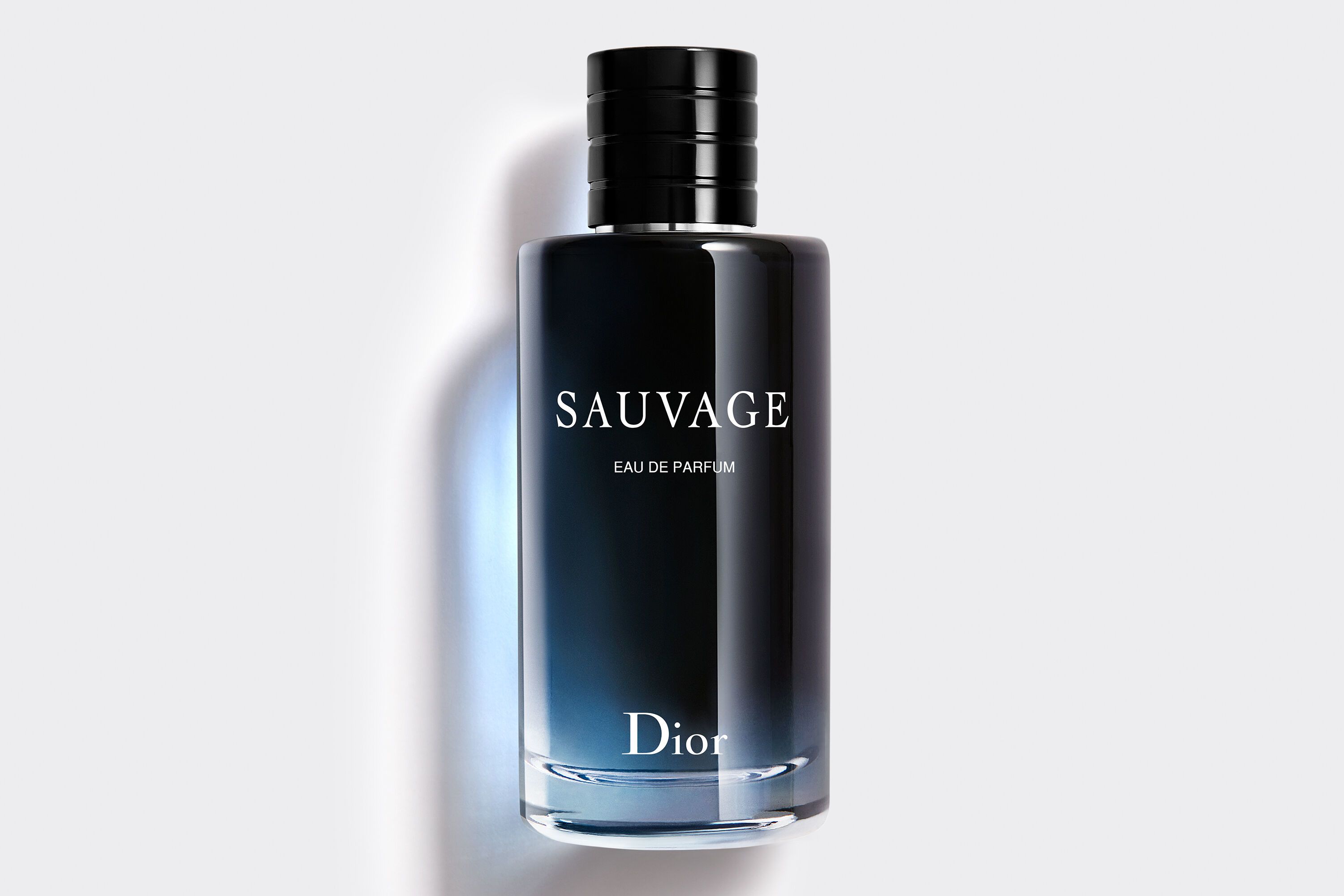 Dior Eau de Parfum / 200 ml / Men
