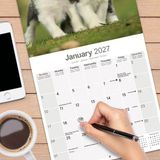 Avonside Bearded Collie Kalender 2027