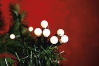 Merkloos Kaemingk Led-lichtsnoer voor buiten, met 180 warmwitte leds, 13,5 m lange zwarte kabel, 494673