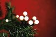 Merkloos Kaemingk Led-lichtsnoer voor buiten, met 180 warmwitte leds, 13,5 m lange zwarte kabel, 494673