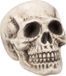 Boland Schedel Bighead (M) - Horror - Grijs/Wit