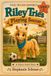Book 1 Riley Tries Playing Soccer: Riley Tries New Adventures