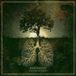 Photosynthesis Botanist Photosynthesis LP Bruin/Groen