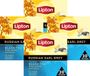 Lipton Russian Earl Grey - 80 Theezakjes Piramid - Zwarte Thee - 4 x 20 Zakjes - Voordeelverpakking