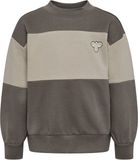 hummel hmlMINI LOOSE BLOCK SWEATSHIRT Kinderen Unisex DARK GULL GRAY Biologisch katoen Loose Fit Colorblock