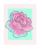 Disney Komar Disney muurschildering van Komar | Cinderella Rose | kinderkamer, babykamer, decoratie, kunstdruk | Grootte 40x50cm (breedte x hoogte) | zonder lijst | WB019-40x50