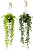 Unyqoos® Set de deux plantes artificielles réalistes pour décoration intérieure et extérieure polyvalente