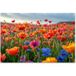 Affiche de jardin fleurs