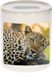 Bellatio Decorations Shoppartners Bv Dieren foto spaarpot luipaard - 9 cm