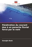 Pénétration DE Pénétration du courant due à un panache fluvial forcé par le vent