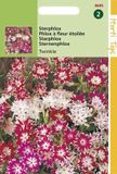 Hortitops Zaden - Phlox Cuspidata Compacta Twinkle Gem.