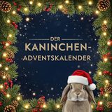 Der FlipFlop Der Kaninchen-Adventskalender Paperback
