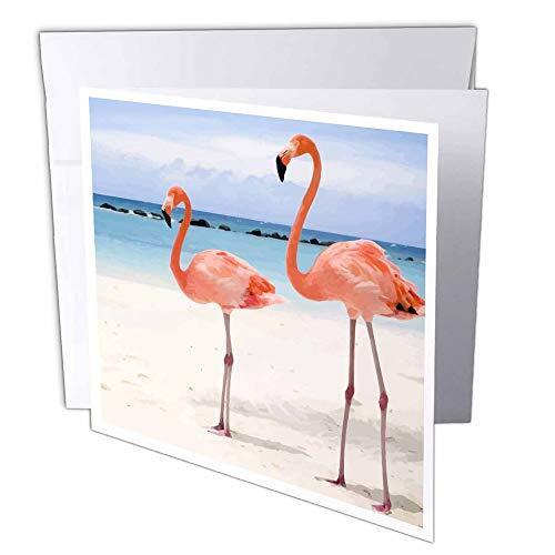 3dRose 3dRose gc_20551_1 wenskaart "Flamingo Honeymoon", 15,2 x 15,2 cm, 6 stuks