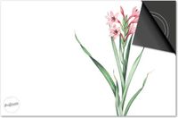 Dietrix Inductie Beschermer - 76x51.5cm - Botanical - Gladiolen Roze