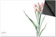 Dietrix Inductie Beschermer - 76x51.5cm - Botanical - Gladiolen Roze