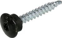 Dak&Gevel Dakpanprofielschroeven 4.8 x 20 mm - RAL 9011 - verzinkt - TX25