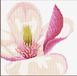 Lanarte Borduurpakket - Magnolia bloem - 20 x 20cm