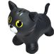 VTOYZ-GERARDOS TOYS Gerardo's Toys JUMPY Kat zwart - Skippybal - 100 kg belastbaar