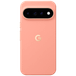 Google PC Back Cover Google Pixel 11 Pro XL Roze