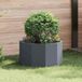 Maison Exclusive - Bac à plantes anthracite 60 x 60 x 35 cm en acier