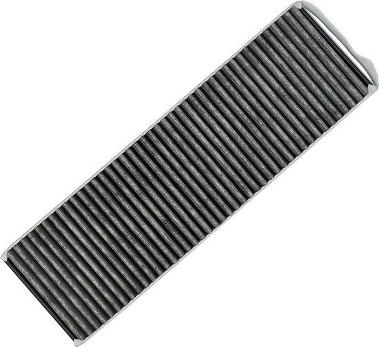 Koolstoffilter vervangingsfilter voor Bora PUAKF (anti-visgeur)