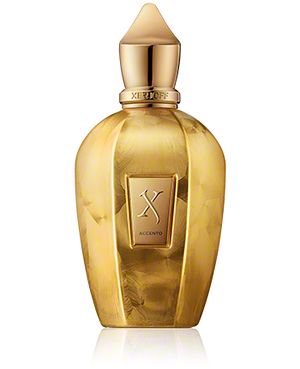 Accento Overdose / 100 / Unisex