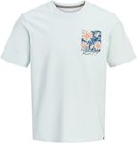 JACK&JONES ORIGINALS JORBLOSSOM TEE SS CREW NECK WEH Heren T-shirt - Katoen - Ronde hals - Korte mouw - Regular Fit - Casual - Mannen - XXL - Skylight