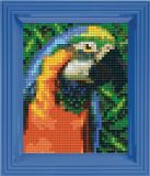 PIXELHOBBY Pixelhobby Classic Papegaai 10x12 cm