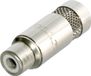 Neutrik NYS372-P Connecteur RCA, droit Nombre de pôles : 2 Argent 1 pièce(s)