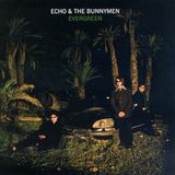 Evergreen - Echo & The Bunnymen