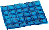 Cepewa Gmbh Éléments réfrigérants flexibles - 24 x 29 cm - 5 pièces - Bleu