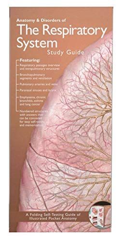 ACC Anatomical Chart Company's Illustrated Pocket Anatomy: Anato - 9780781776868