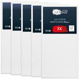 Artina Set van 5 Canvas Schildersdoek FSC® 40x80 cm met Spieraam van 100% Katoen Akademie