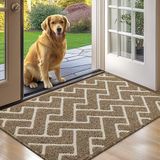 Biscpro Tapis d'intérieur, Tapis d'entrée imperméable, Tapis attrape-saleté, Tapis d'intérieur antidérapant (Beige, 60 x 90 cm)