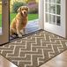 Biscpro Tapis d'intérieur, Tapis d'entrée imperméable, Tapis attrape-saleté, Tapis d'intérieur antidérapant (Beige, 60 x 90 cm)