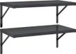 vidaXL Wandschappen - 2 stuks - 75x40 cm - Roestvrijstaal - Zwart