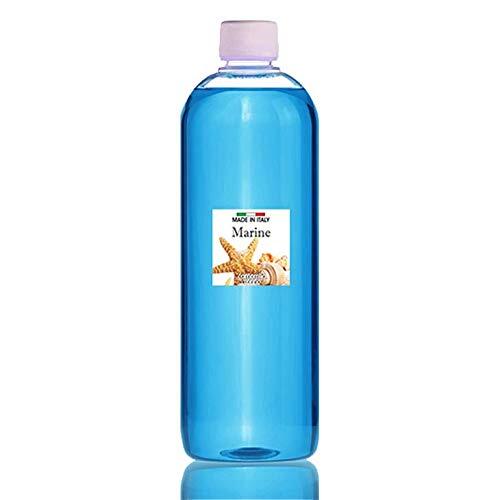 Dellart Room navulfles, per stuk verpakt (1 x 1000 ml) (zeegeur)