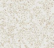 A.S. Création Vliesbehang bloemen in crème beige bruin - modern bloemenbehang 397473-10,05 m x 0,53 m - hoogwaardige wandbehang bloemen - Made in Germany