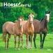 Horse BrownTrout Horse Lovers 2027 12 X 24 Inch Monthly Square Wall Calendar