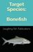 Target Bonefish: Mastering the Pursuit of the Silver Ghost
