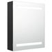 VidaXL Armoire de salle de bain avec miroir et LED 50x14x60 cm Noir