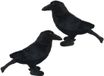 Cornelissen Natierliche Geschenke Gmbh Pluche Zwarte Kraai/Raaf Vogel Knuffel - 18 cm