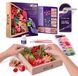 Okto 3D kunstwerk - Sensory Art - Wood&craft creative set - succulents - Argile artistique