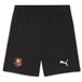PUMA Sportbroek 'Stade Rennais FC 25/26' groen / rood / zwart / wit